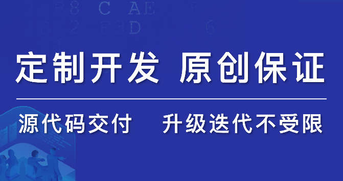 企业网站建设官网前后端定制开发跨境电商支付国际海外直购